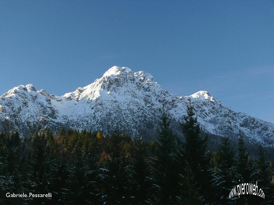 Alben e bosco innevati.jpg